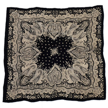 Load image into Gallery viewer, Kala Paisley Scarf